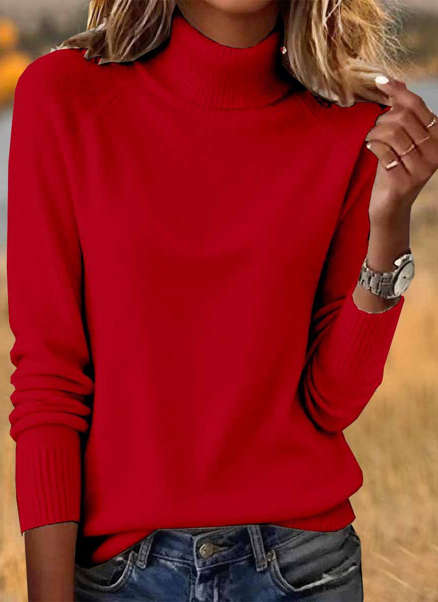 Casual Turtleneck Sweater