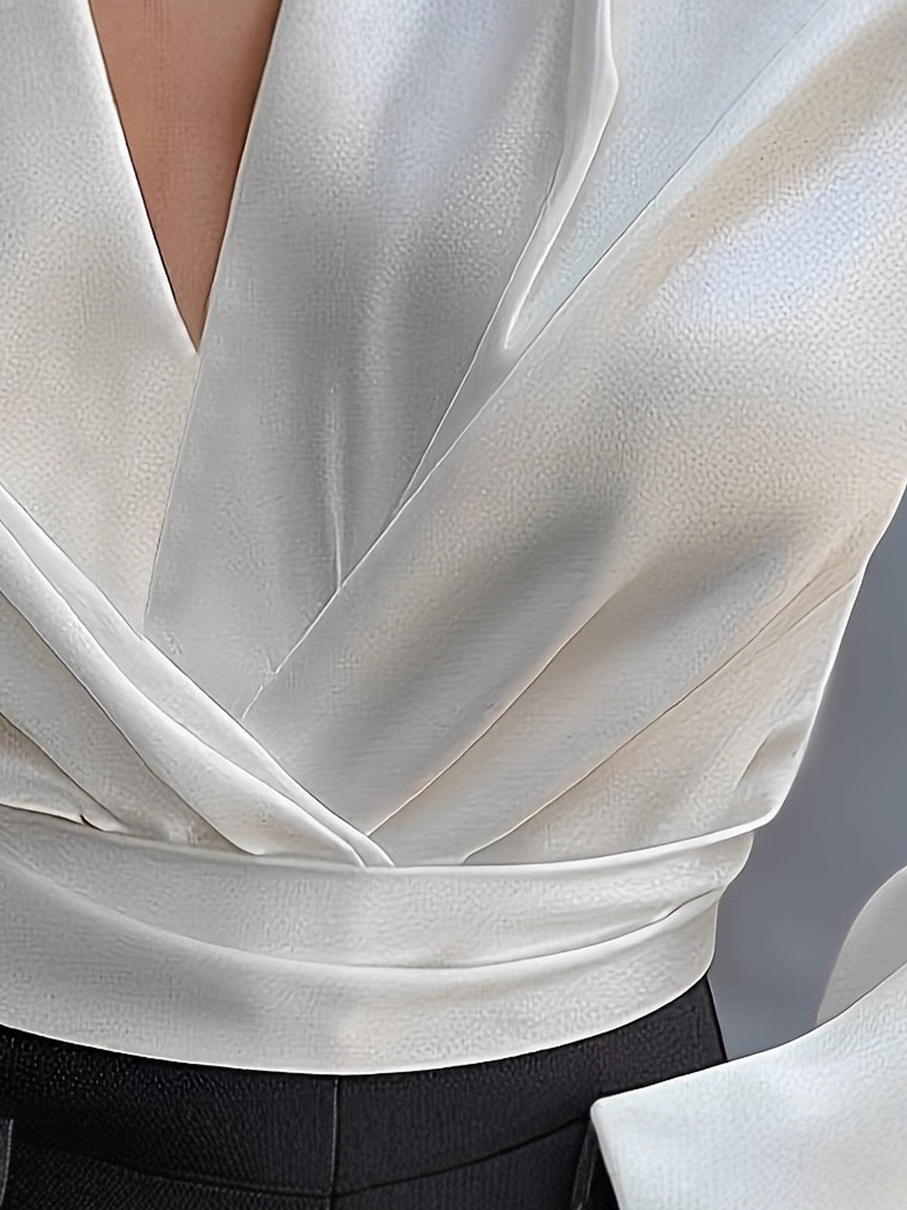 Elegant Satin Plain Long Sleeve Going Out Casual Crop Blouse